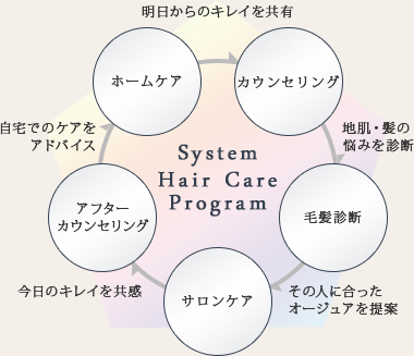 System Hair Care Program